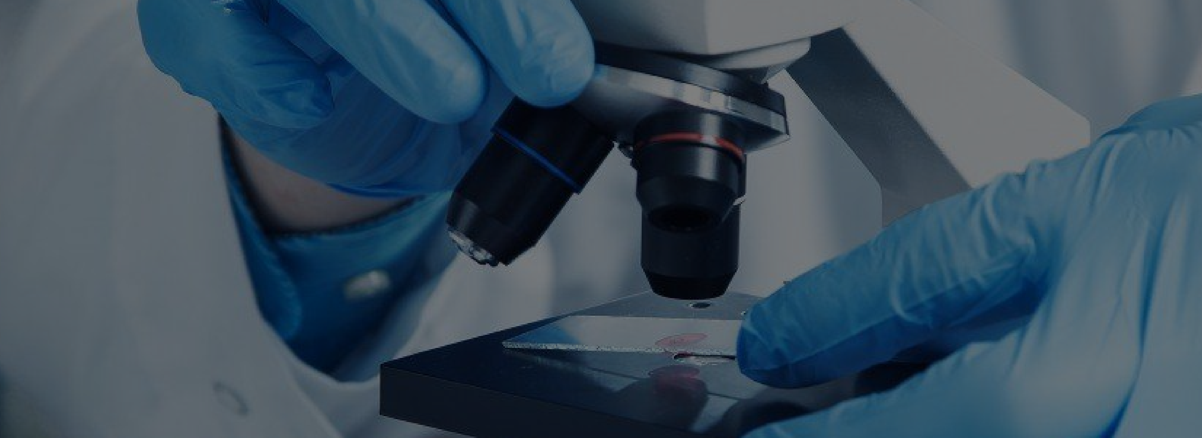 国家工程橡胶产品质量检验检测中心