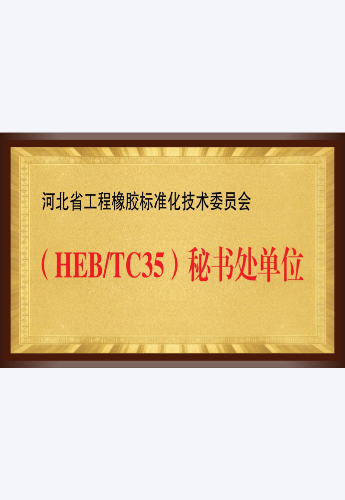 资质9