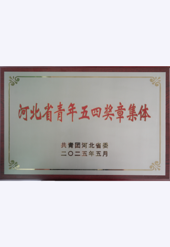 资质4