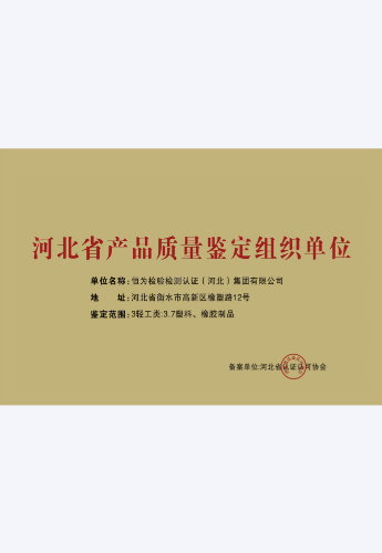 资质3